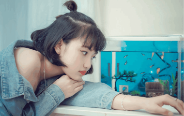 Перші кроки акваріуміста: з чого почати та що купити в зоомагазині