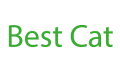 Best Cat