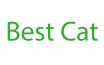 Best Cat