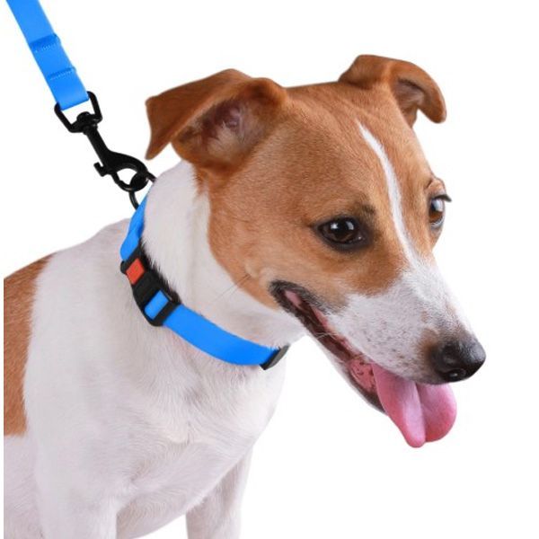 Нашийник ACTIVE для собак водовідштовхувальний із захисним полімерним покриттям Блакитний 16мм (25-33см )