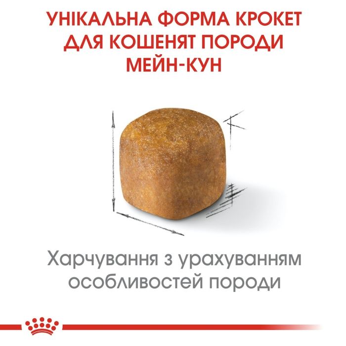 АКЦІЯ Royal Canin Maine Coon Kitten сухий корм для кошенят породи мейн-кун 2 кг + 12 паучів + схема 