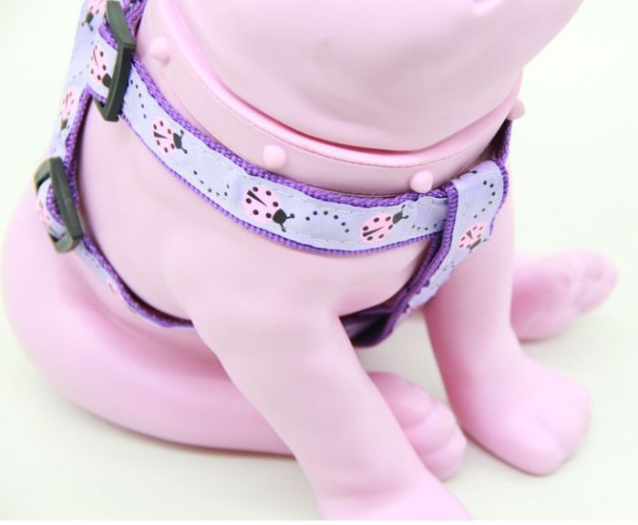 Шлея з повідцем дитячий малюнок 