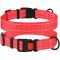 Нашийник для собак BronzeDog Корал пластиковий фастекс 1224 51Т 25мм (43-66см)
