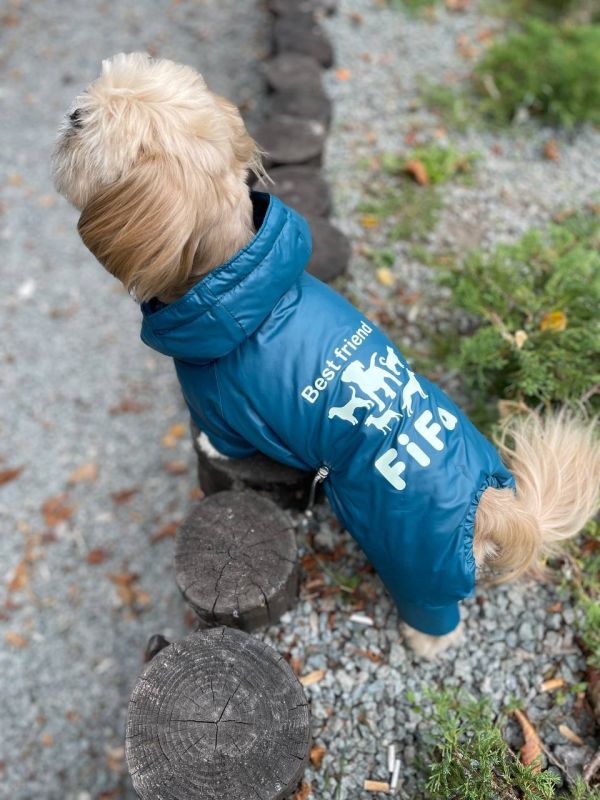 Партнер комбінезон для собак хлопчиків на силіконі, хутро M1
