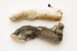 Лапки домашнього кролика з хутром сушені, 2 шт. 