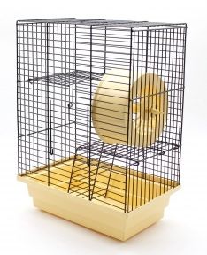 Клітка Лорі будинок Фарба