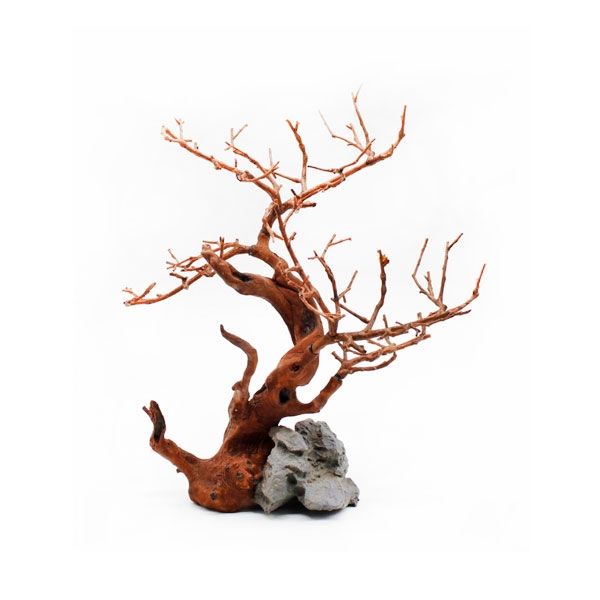 Коряга мангрова штучна, 24,5х18х19 см 