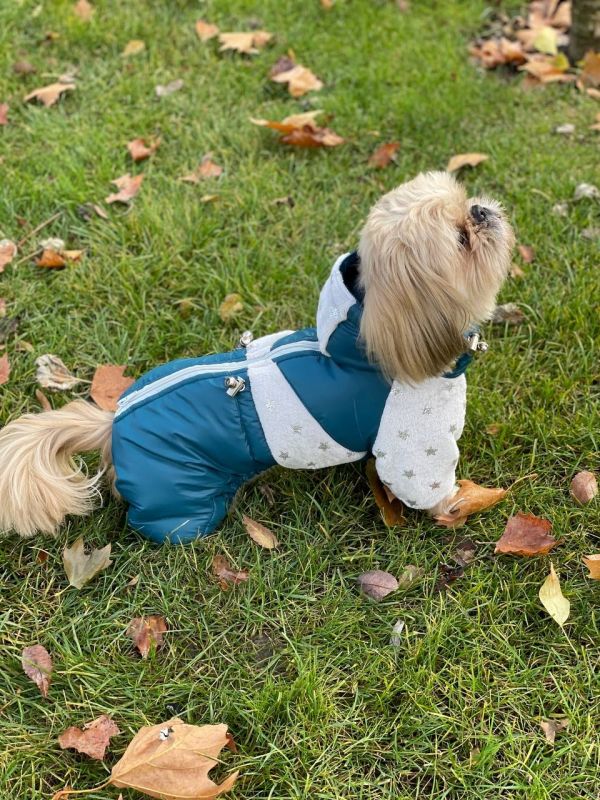 Комбінезон Тайлер на силіконі (хлопчик) XXS