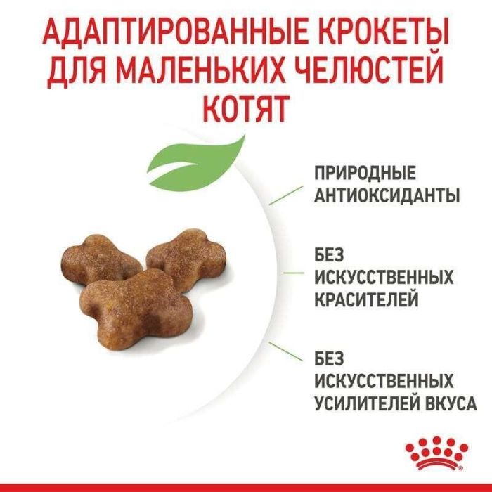 АКЦІЯ Royal Canin Kitten для кошенят на кожен день (до 12 місяців) набір корму 2 кг + 4 паучі 