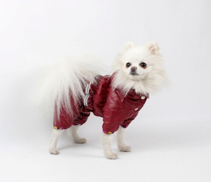 Набір Фрезія жилет силікон + комбінезон велсофт бордо (дівчинка) М