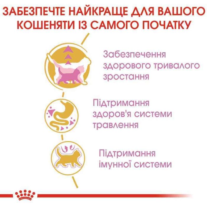 АКЦІЯ Royal Canin Maine Coon Kitten корм для кошенят мейн-кун 2 кг + 4 паучі 