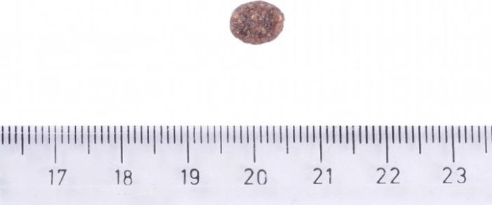 Brit Care Dog Sustainable Adult Adult Small Breed Корм для собак малих порід з куркою та комахами 7кг