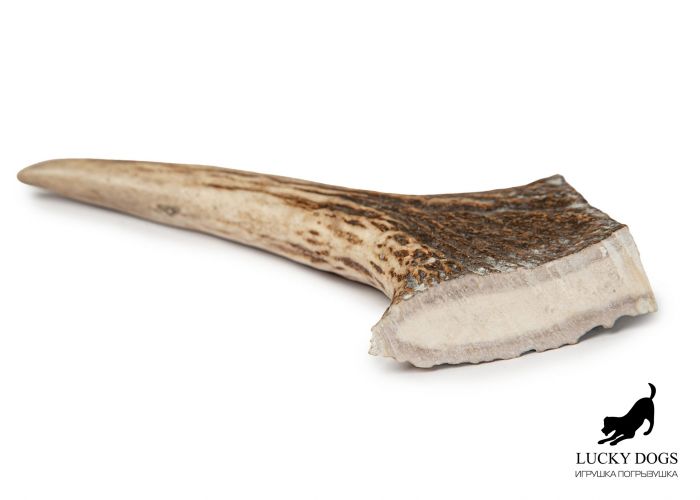 Рог лося Lucky Dogs, L 