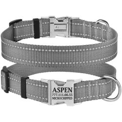 Нашийник для собак BronzeDog 25мм (35-53 см) Сірий Металевий фастекс 1311 34Т 