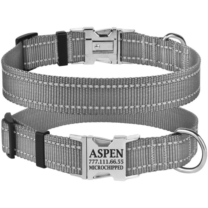 Нашийник для собак BronzeDog 25мм (35-53 см) Сірий Металевий фастекс 1311 34Т 