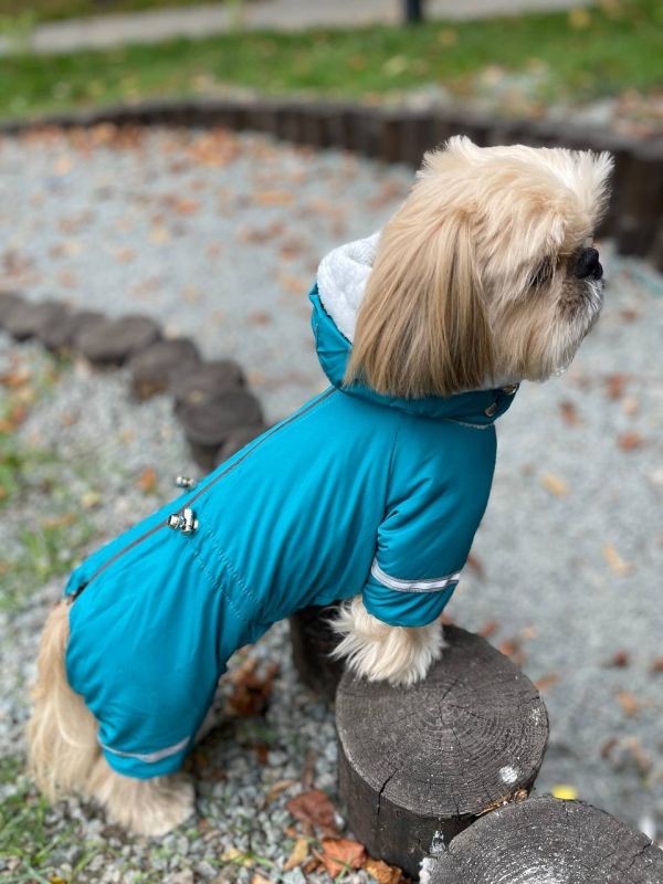 Єдність комбінезон для собак хлопчиків велсофт без силікону S1