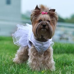 Сукня леді VIP Атлас, гіпюр M