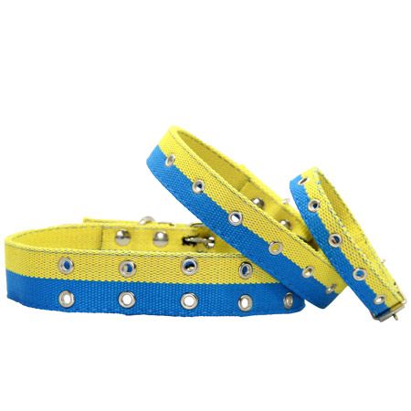 Нашийник економ брезент подвійний безрозмірний патріот 40 мм