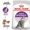 АКЦІЯ Royal Canin Sensible сухий корм для котів з чутливим травленням 8+2 кг 