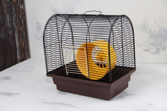 Клітка Лорі Бунгало-міні 280180280 мм Цинк