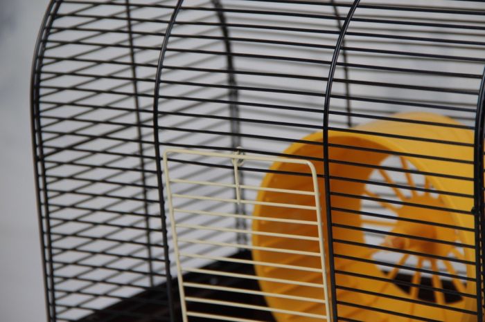 Клітка Лорі Бунгало-міні 280180280 мм Цинк