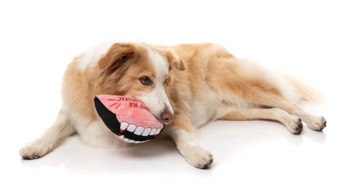 М'яка іграшка для собак FuzzYard Щелепа Дракули