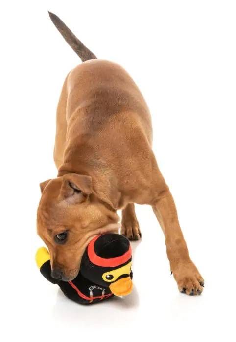 М'яка іграшка для собак FuzzYard Качка-ніндзя