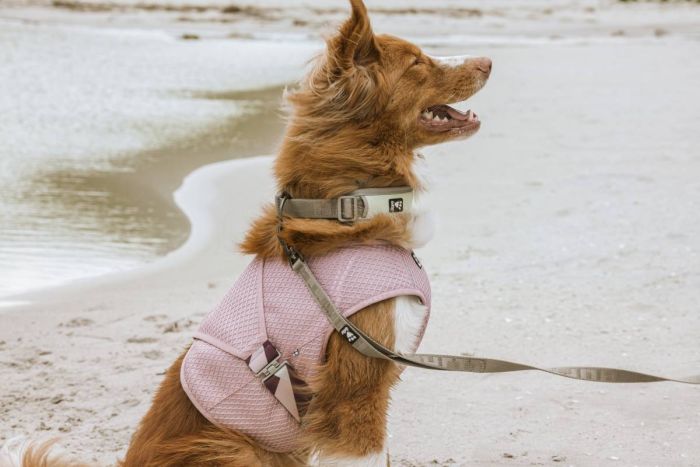 Охолоджуючий жилет для собак Hurtta Cooling Wrap 45-55 см Рожевий