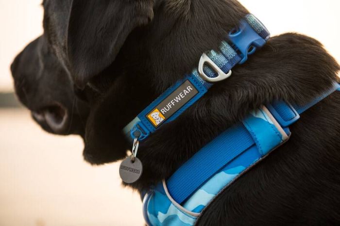 Повсякденний нашийник для собак Ruffwear Front Range™ 36-51 см Блакитно-синій