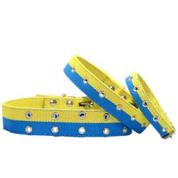 Нашийник економ брезент подвійний безрозмірний патріот 35 мм