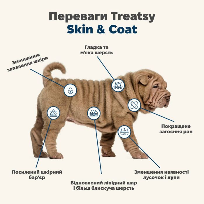 Вітамінний комплекс для вовни та шкіри собак Treatsy Skin & Coat 180 г 60 шт