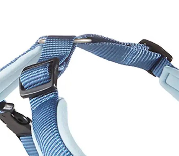 Шлейка для собак пом'якшена Wolters Professional Comfort 0 30-35 см / 15 мм Синій