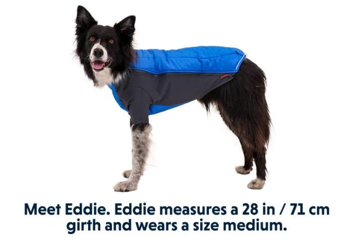 Зимова куртка для собак Ruffwear Powder Hound™ L Синій