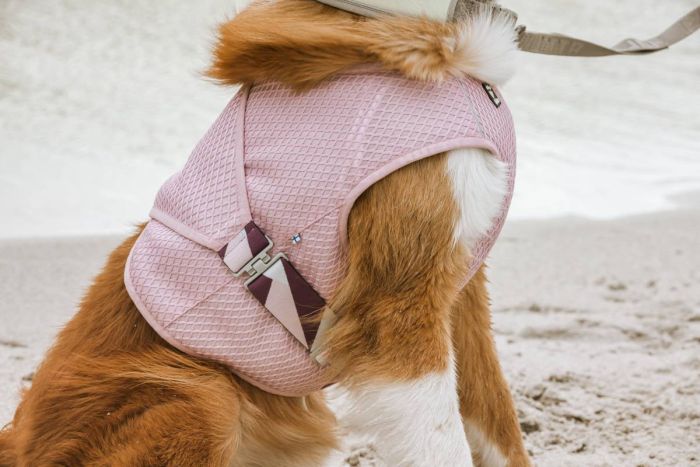 Охолоджуючий жилет для собак Hurtta Cooling Wrap 85-95 см Рожевий