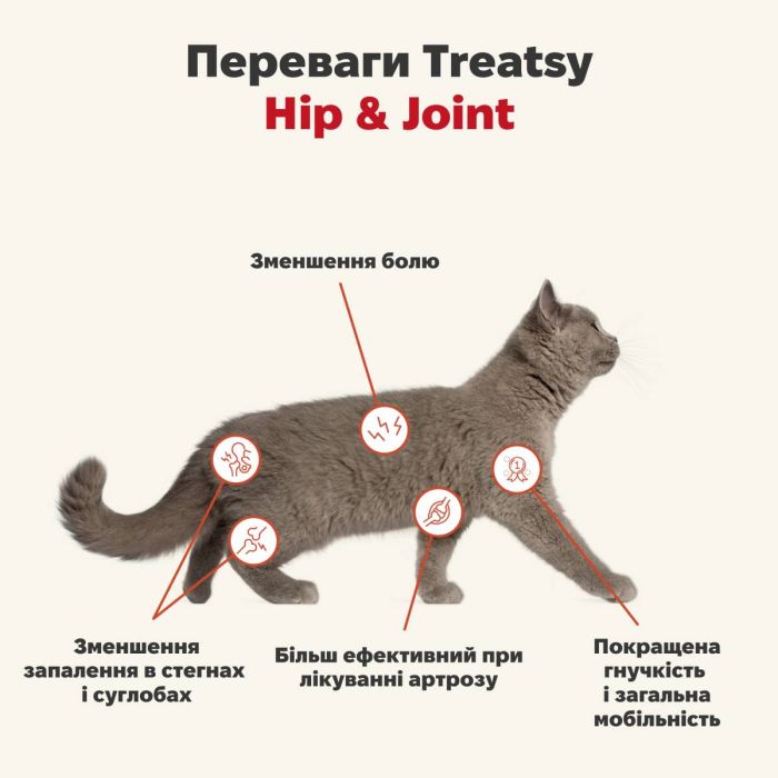 Функціональна олія для м'язів та зв'язок собак і кішок Treatsy Hip & Joint 250 мл