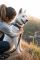 Повсякденний повідець для собак Ruffwear Front Range™ Сірий