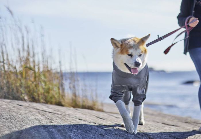 Утеплений комбінезон для собак Hurtta Midlayer Overall 55M Сірий