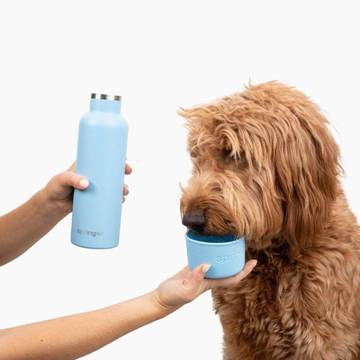 Термос із спеціальною мискою для собак Springland Блакитний 710 мл + 240 мл