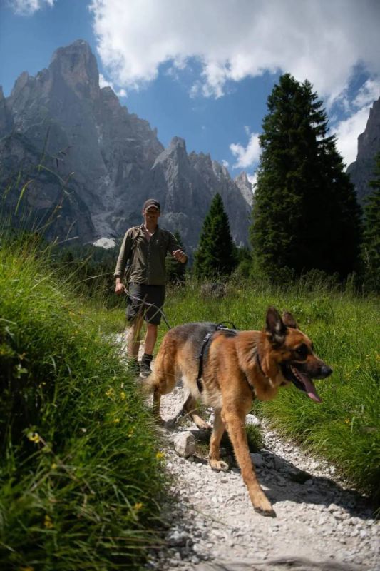 Шлейка для собак Line harness grip Non-stop dogwear Чорний 3