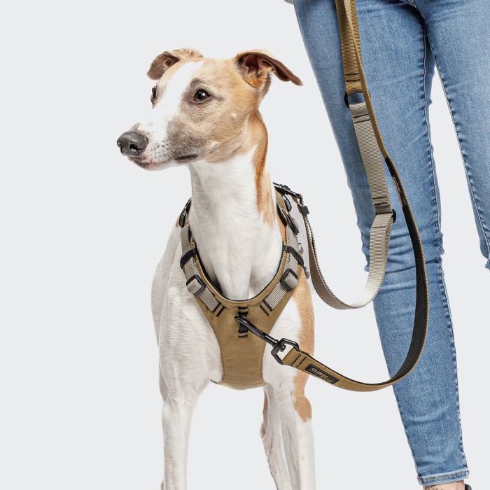 Повідець вільні руки для собак Cloud7 L-1- Hands-Free-Leash AKTIV Сірий S
