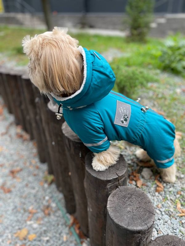 Єдність комбінезон для собак хлопчиків велсофт без силікону S1