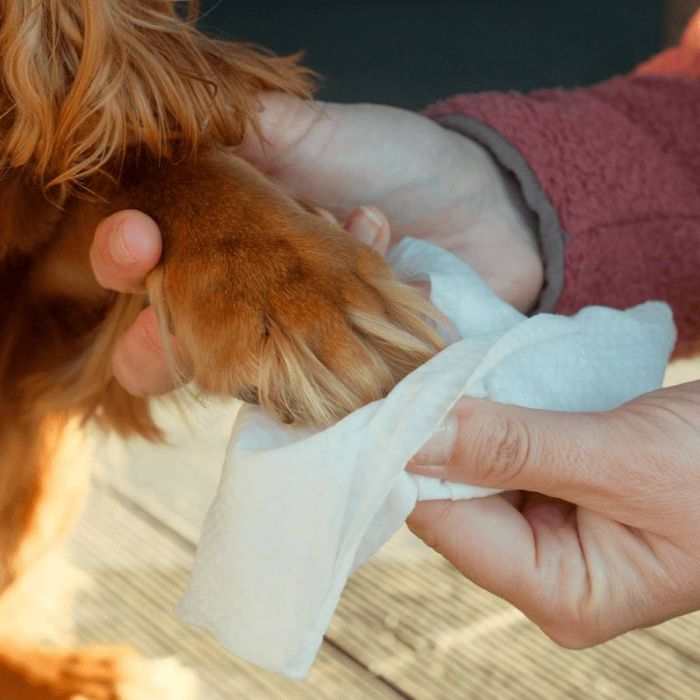 Вологі серветки біорозкладні бамбукові Beco Pets з ароматом кокосу 20 шт.