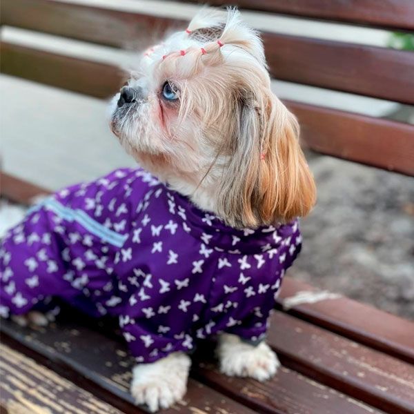 Комбінезон Лялечка на тонкій підкладці (дівчинка) S1