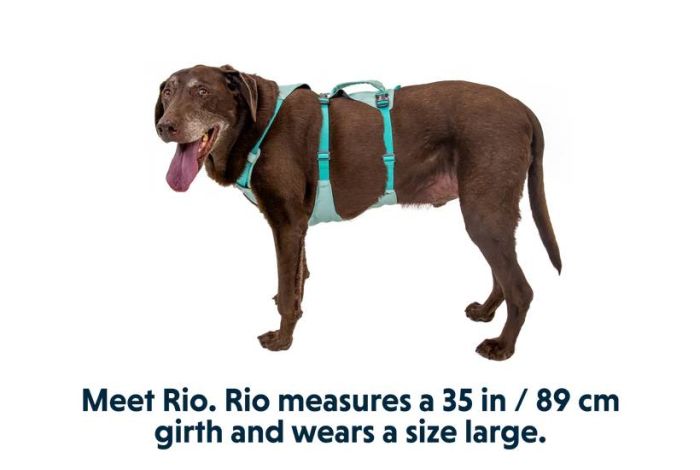 Легка шлейка для собак Ruffwear Flagline™ S 56-69 см Зелений