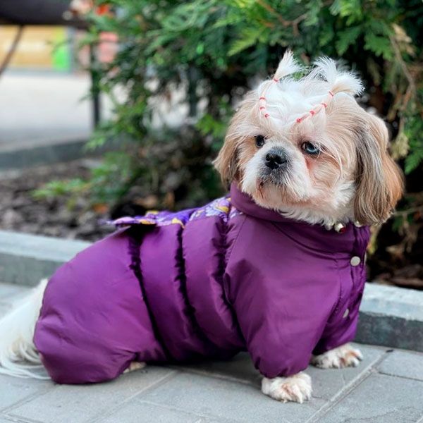 Комбінезон Азалія силікон (дівчинка) XXS