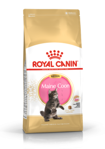 Royal Canin Kitten Maincoon для кошенят Мейн-кун від 4-15 міс 400 г