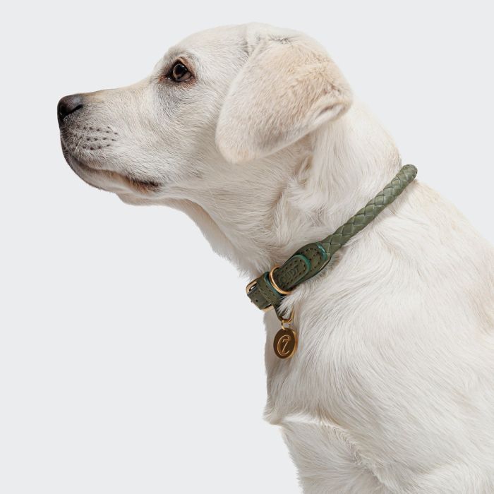 Нашийник для собак Cloud7 Ravello Зелений S