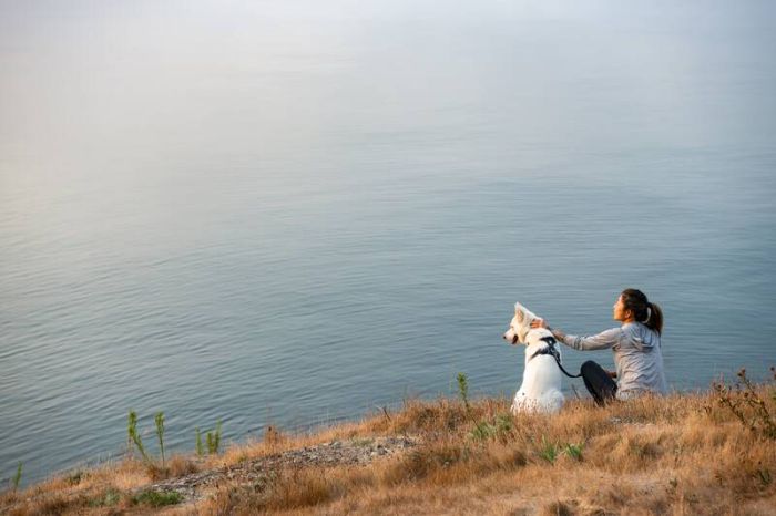 Повсякденна шлейка для собак Ruffwear Front Range® L/XL 81-107 см Сірий