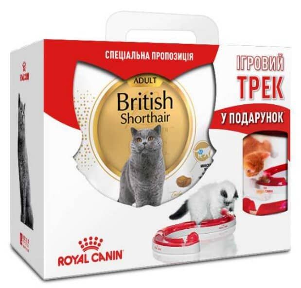Акція сухий корм Royal Canin British Shorthair 4кг + ігровий Трек в подарунок 