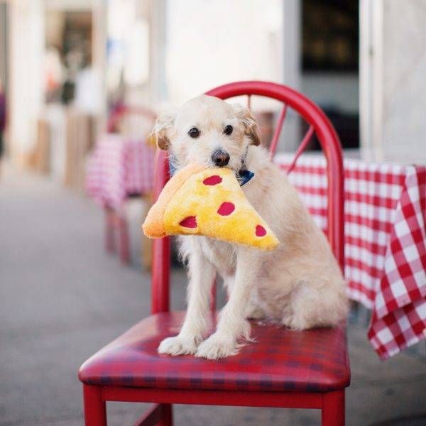 М'яка іграшка для собак піца ZippyPaws NomNomz Pizza з пищалкою